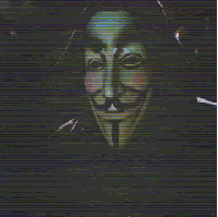 We Are Anonymoose