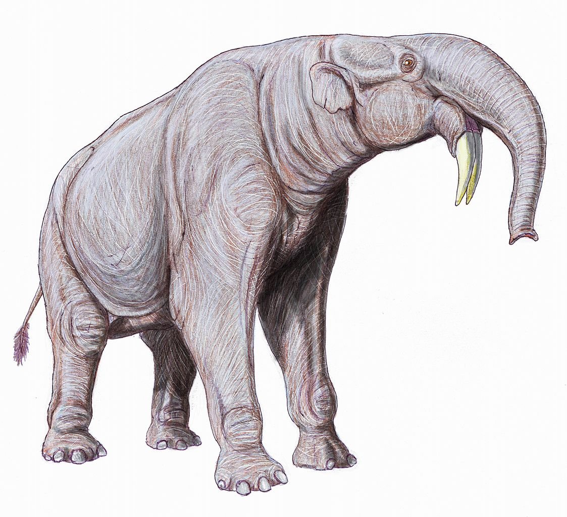 Dinotherium.prehistoric elephant,extinct