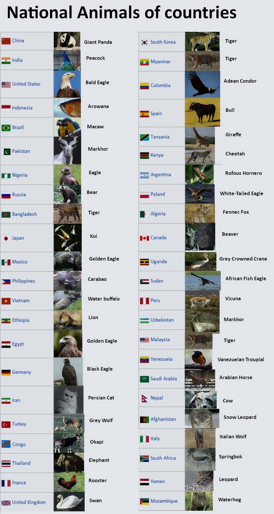 National Animals Of Countries