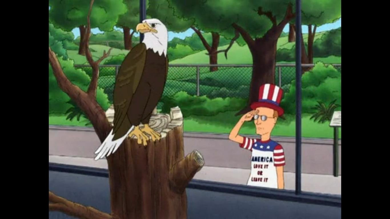 American Eagle Salute U  Bald eagle, Bald eagle meme, I love america