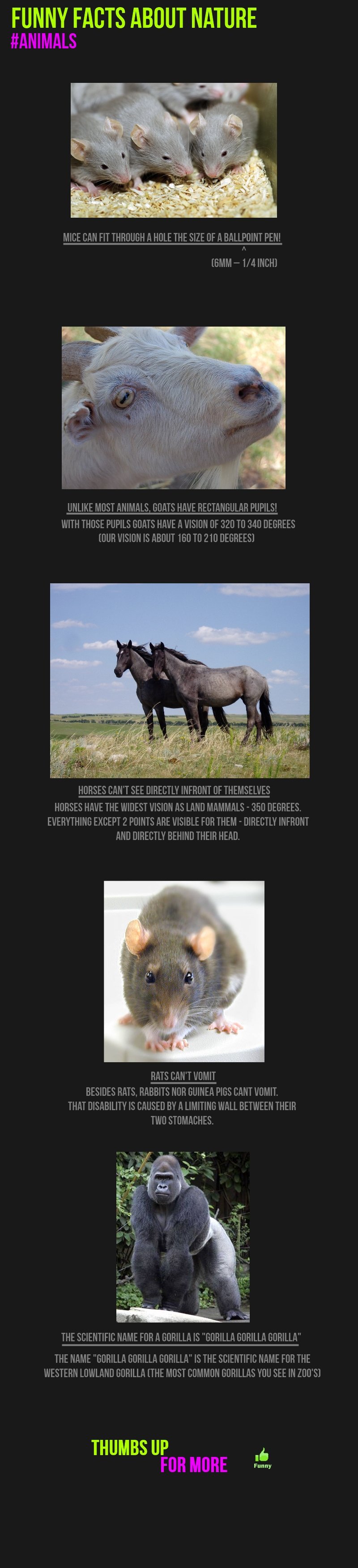 facts-about-nature-animals