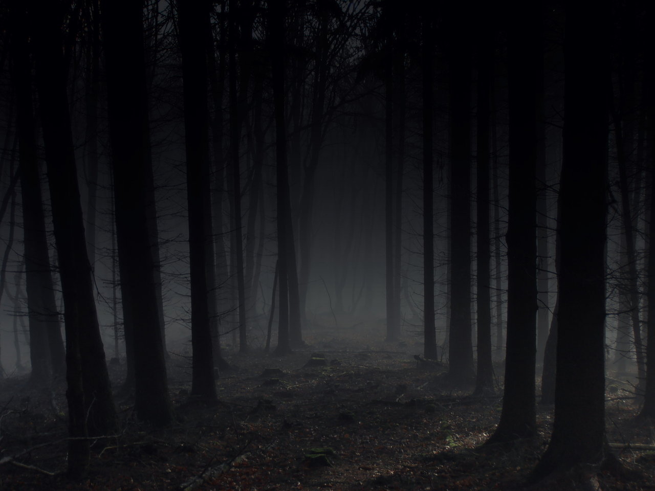 Темне т. Темный лес Геншин. Жуткий лес. Лес темный страшный. Страшный ночной лес.