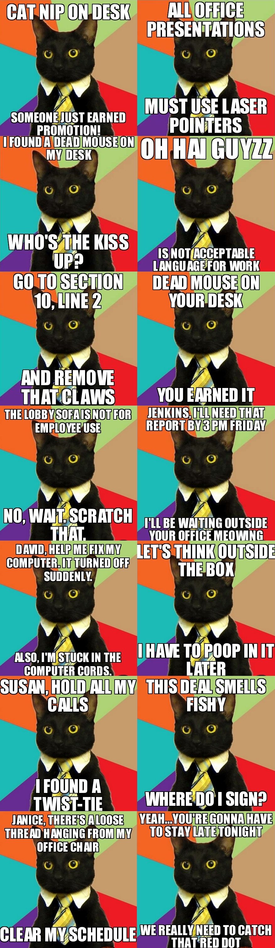 10 Funny Business Cat Memes Factory Memes