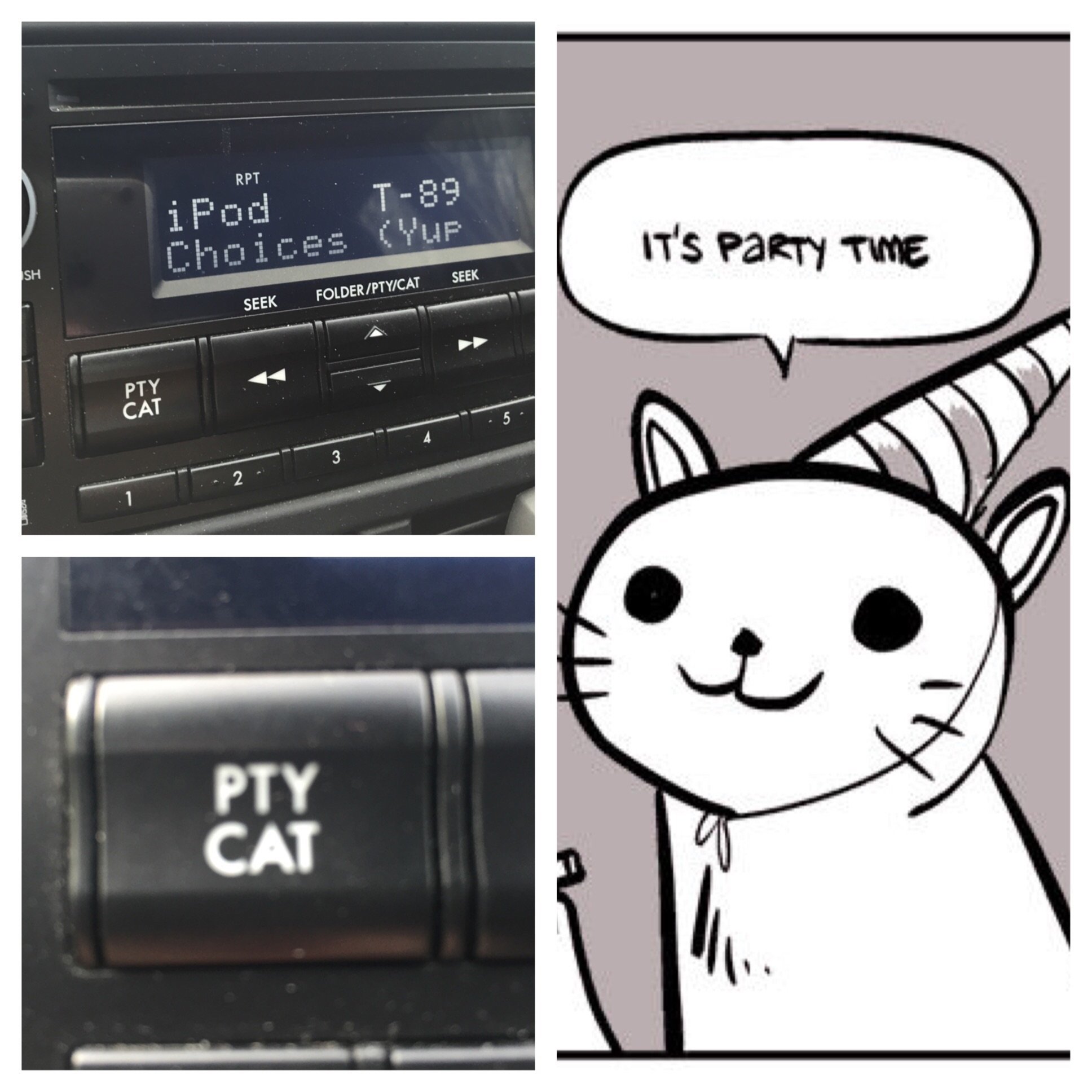 Pty Cat time.