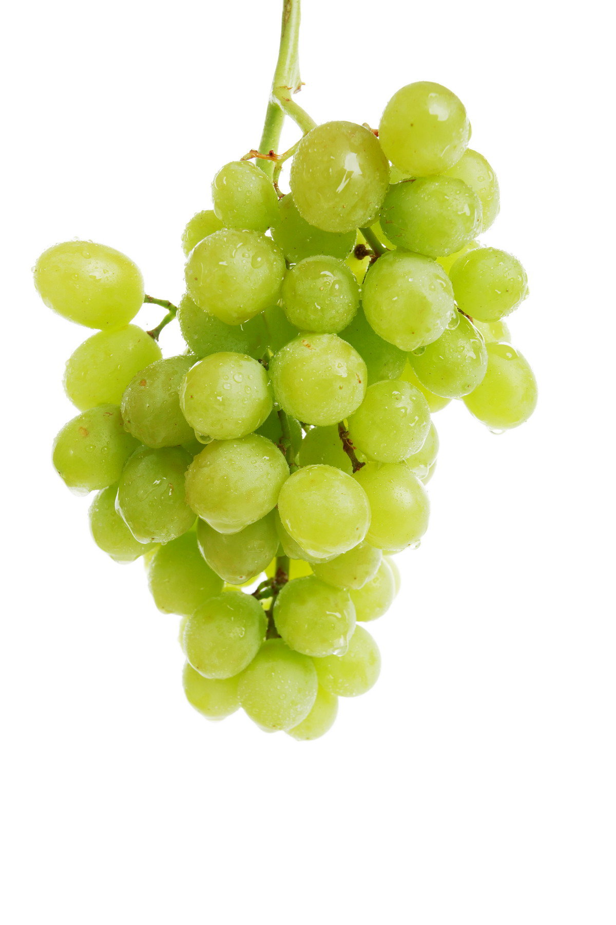 Green grape (зеленый виноград)