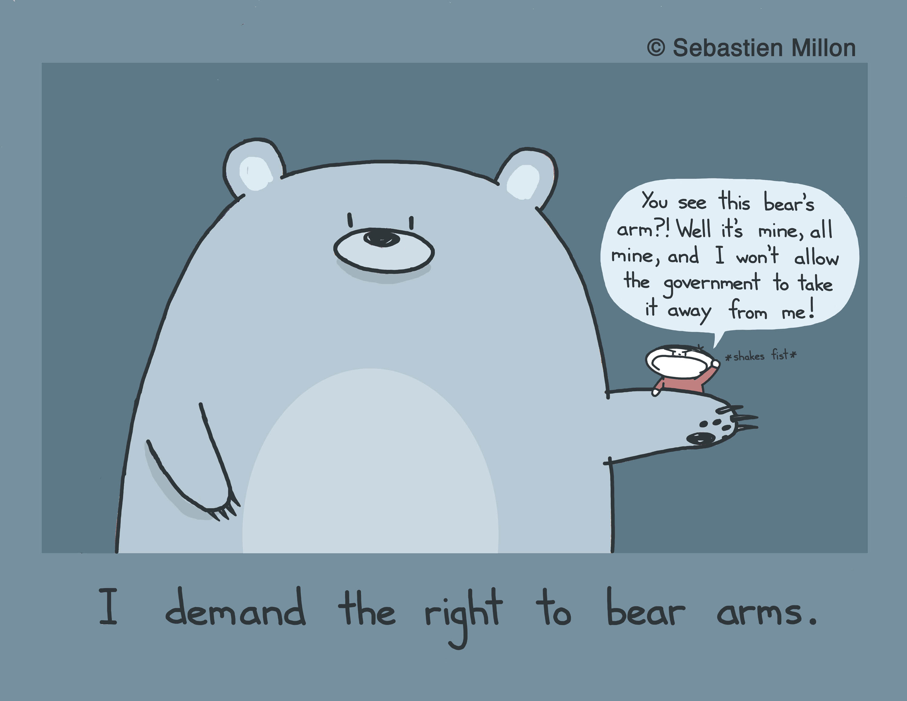 The Right to Bear Arms.