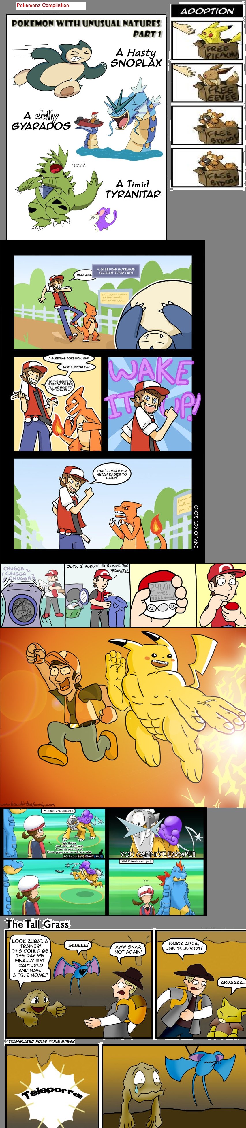 Pokemon Comp.