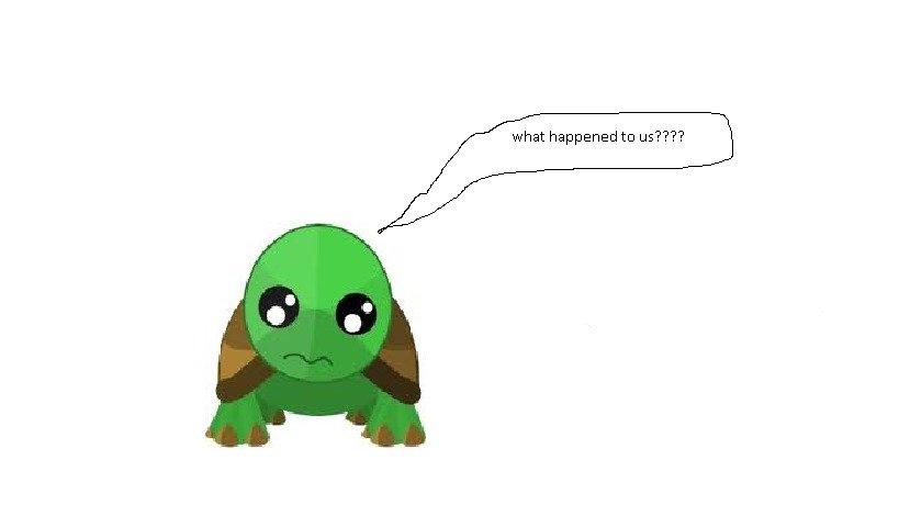 Sad Turtle