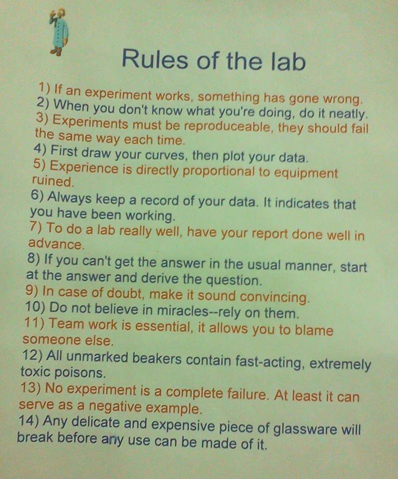 essay about lab rules