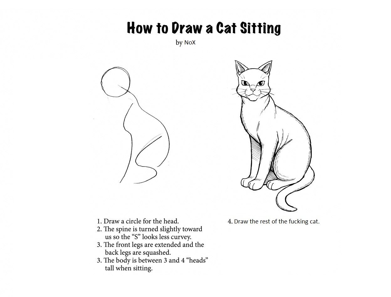 Learn to draw a cat