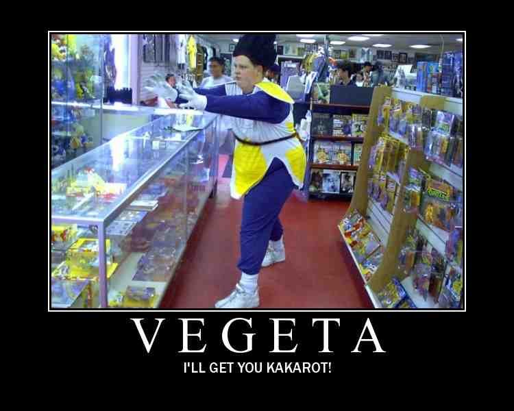 fat vegeta