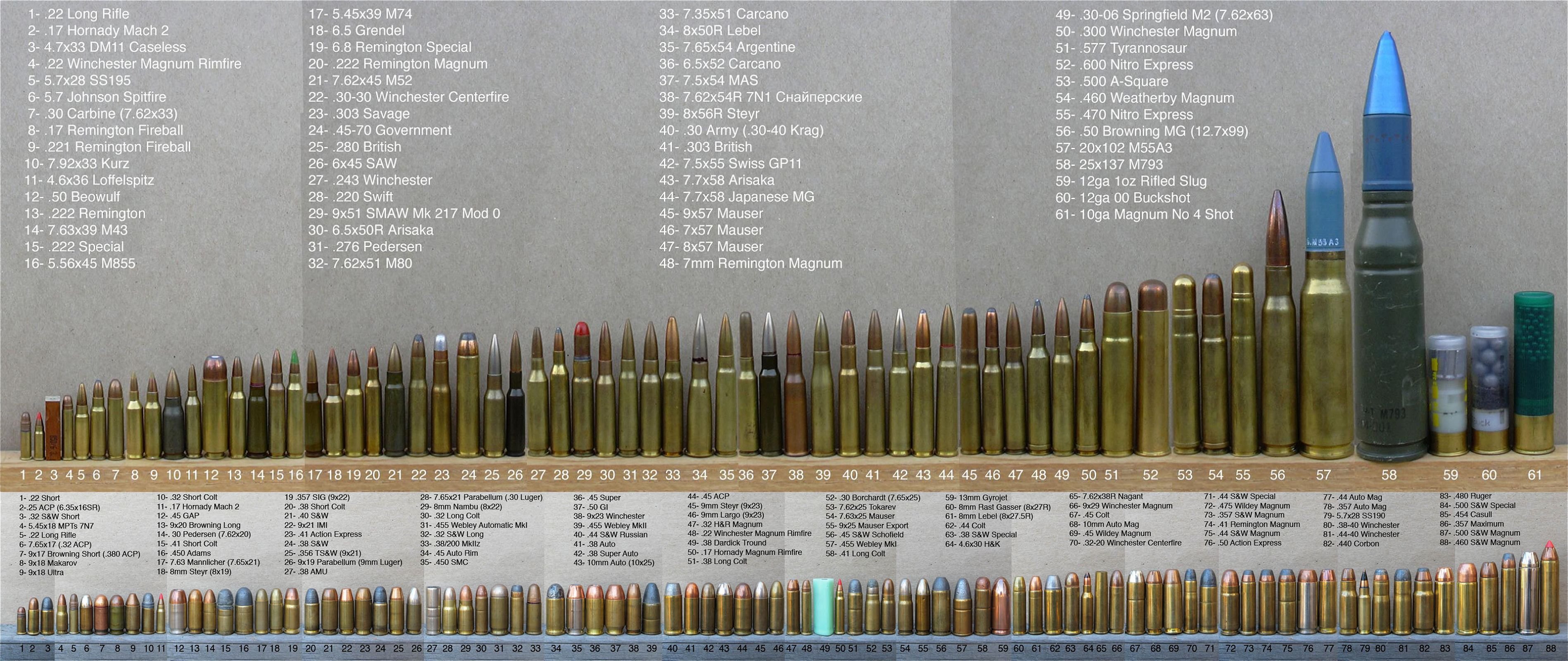 ammunition-types