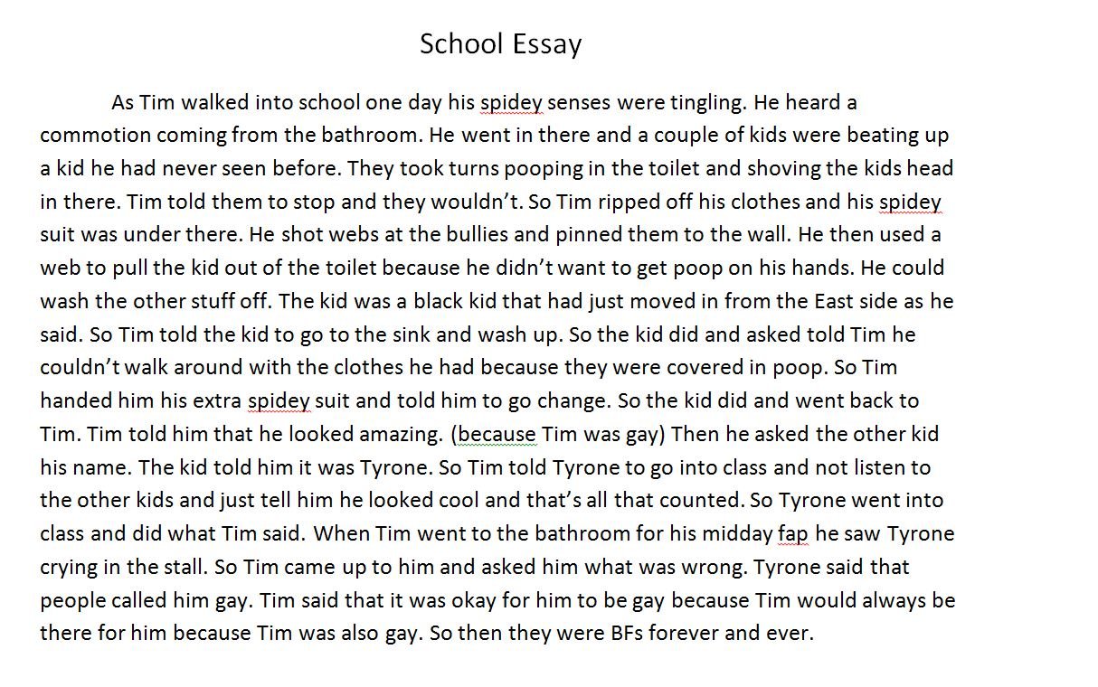 school essay paragraph