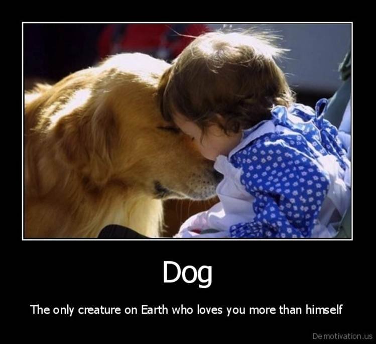 Твою любимую собаку. Дети и собаки цитаты. Собака для детей. Собаки любовь. Собака друг человека.