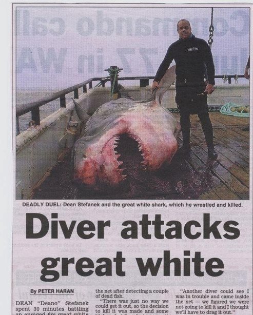 Australia+an+australian+diver+kills+a+great+white+shark+that_1cef7a_4352153.jpg