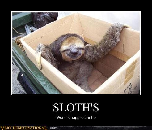 awesome sloth