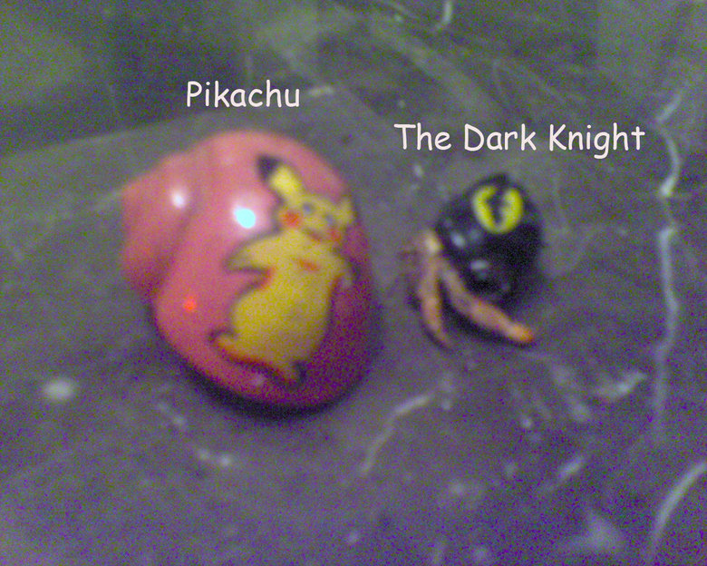 batman pikachu figure