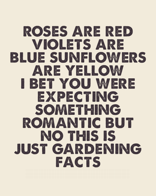 Beautiful Poem