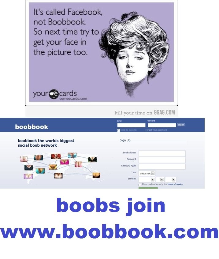 Boobbook All Big