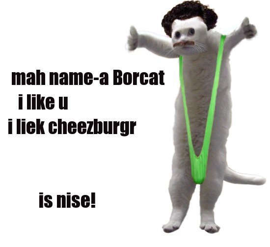 borat cat shirt