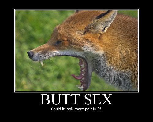 Funny Butt Pictures 62