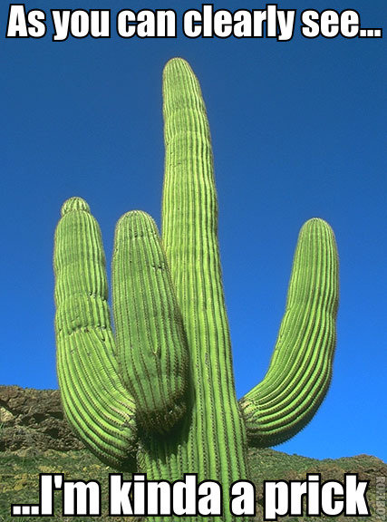 Cactus i made this guessing it could be