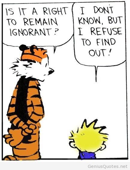 Calvin And Hobbes Cartoon Quote