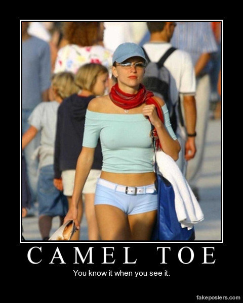 project eve camel toe