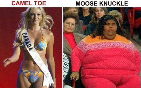 camel toe VS moose knuckle