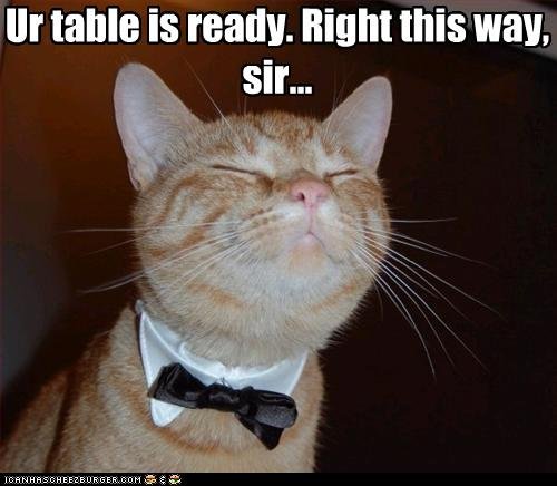 Image result for cat waiter