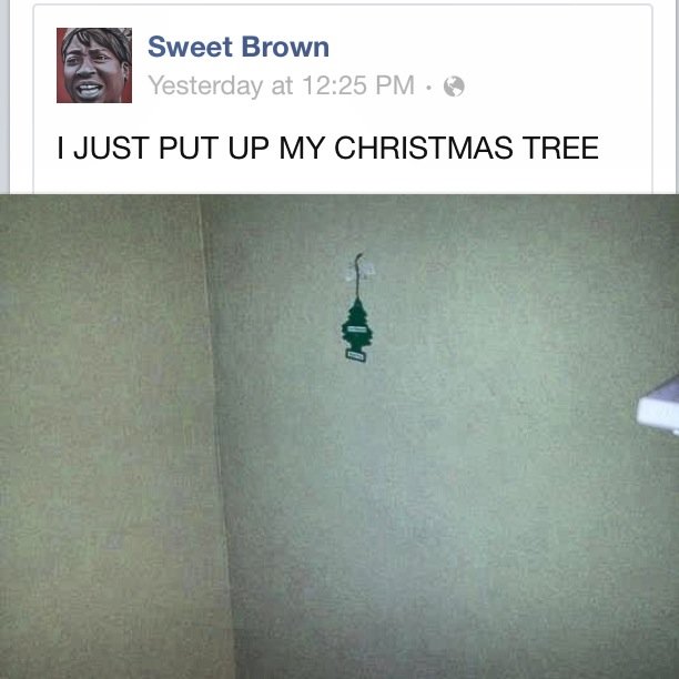 Image result for when to put up the Christmas tree funny