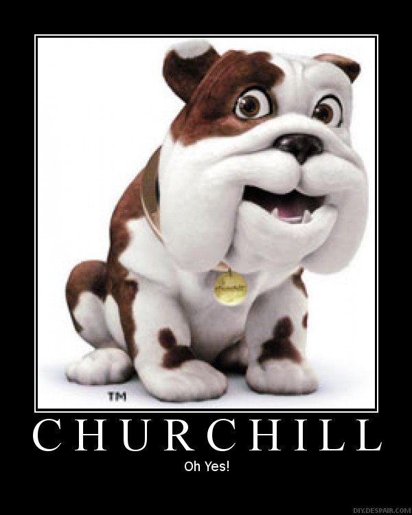 Churchill Oh No No No Gif Churchill Ohnonono Shakinghead