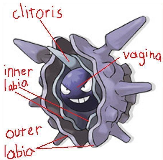 Cloyster. 