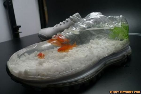 coolest fish tank ever