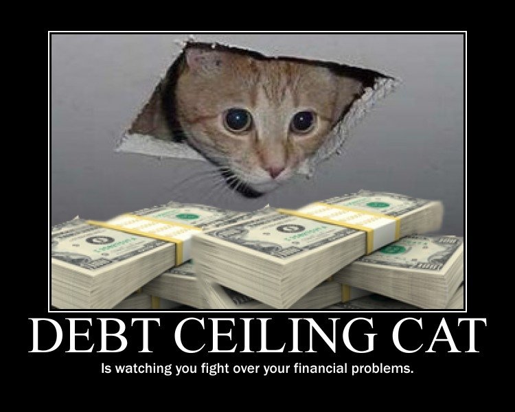 Debt Ceiling Cat. . ts watching you fight over your financial problems.