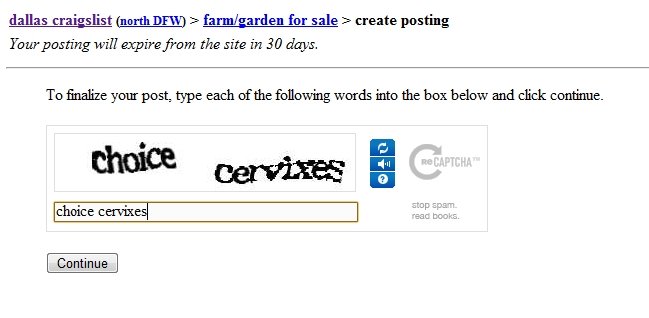 Did I Win Captcha