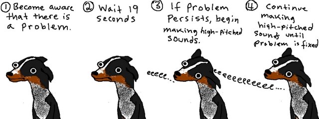 can dogs problem solve