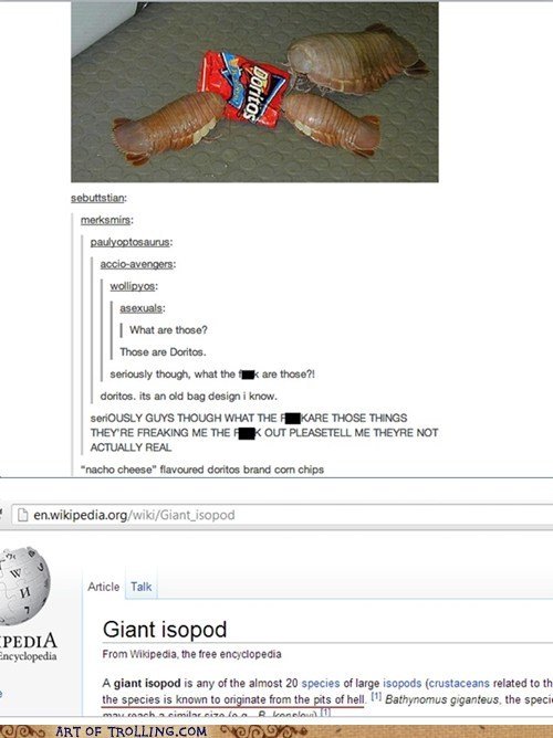 giant isopod doritos tumblr