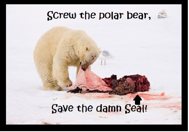 enough 'save the polar bears' talk.