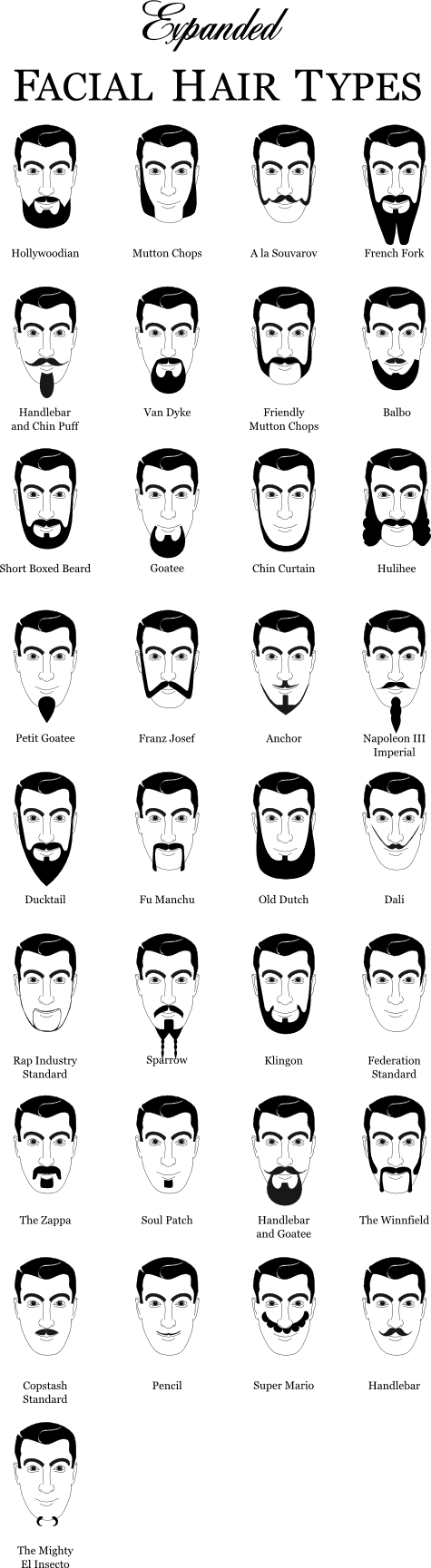 Expanded Facial Hair Types