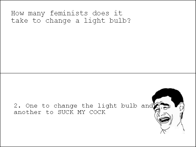Feminists Lightbulb Joke