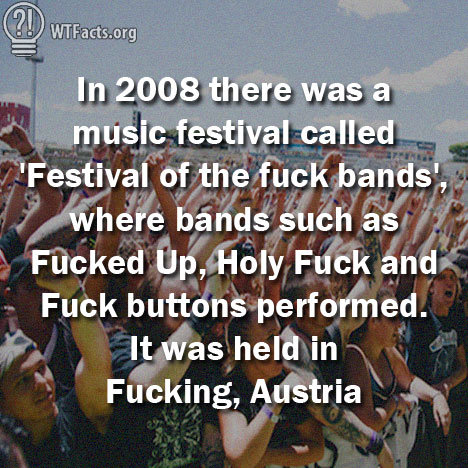 Fuck music festival Festival Handy
