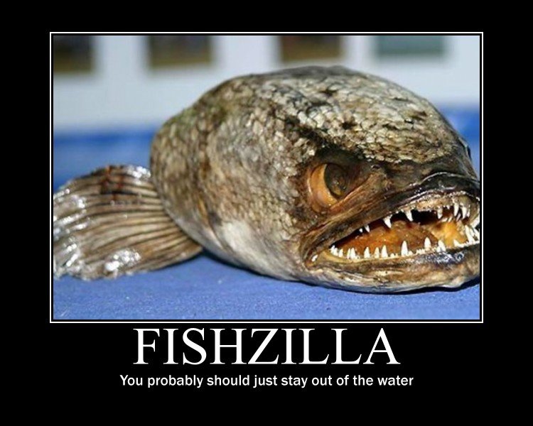 Fishzilla