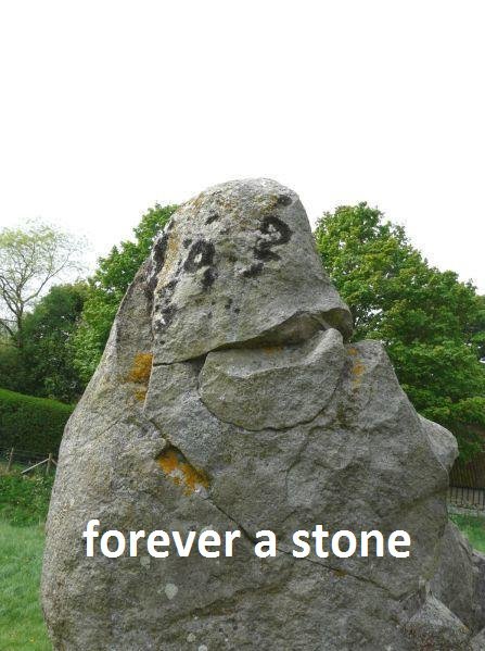 forever stone