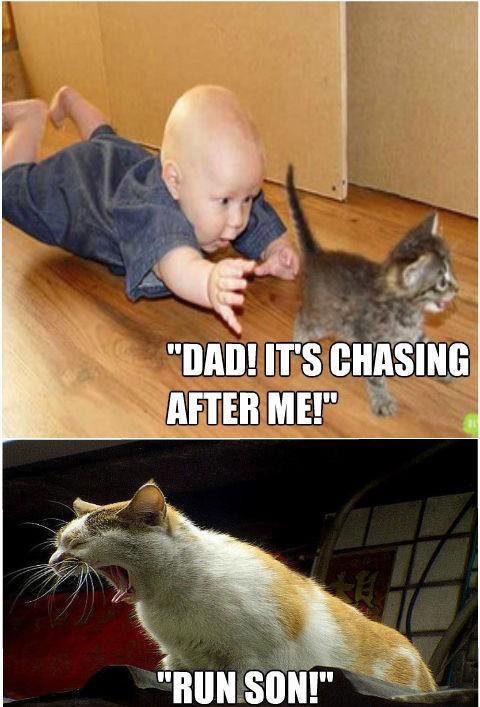 Photo for funny baby and cat