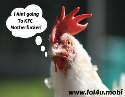 funny kfc chicken