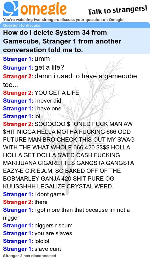 Funny Omegle Conversation