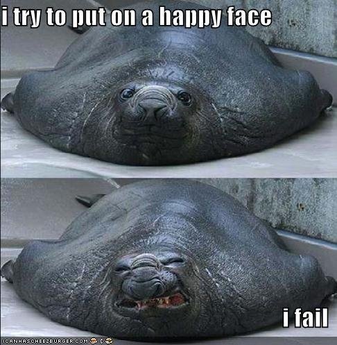 funny seal