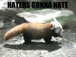 Haters Gonna Hate Meme Panda