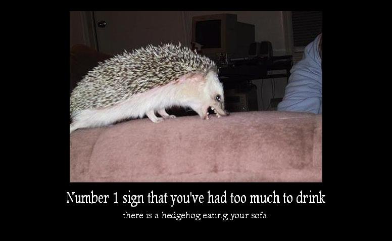 lol hedgehog